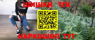 тгк Волгодонск