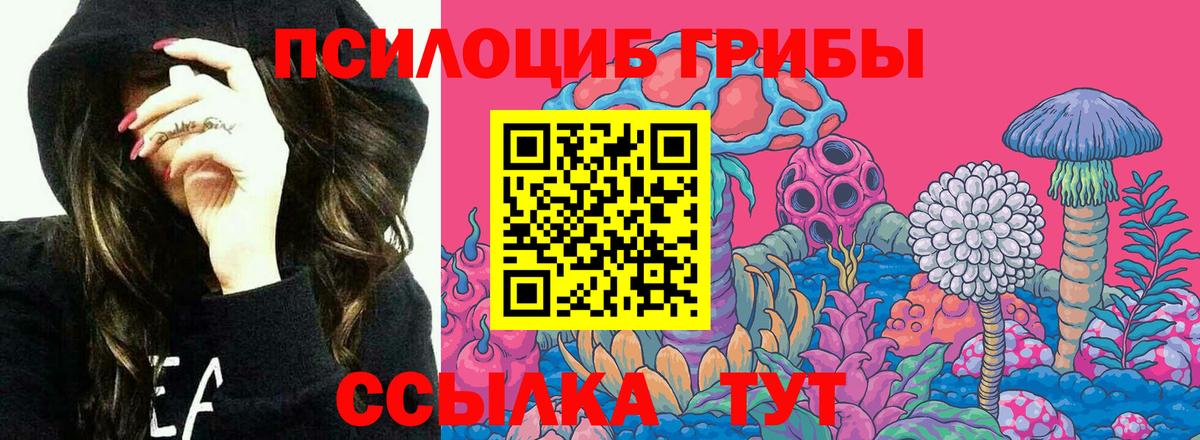 Нефтекумск  Галлюциногенные грибы Magic Shrooms  как найти закладки  Галлюциногенные грибы Psilocybe  Вход с VPN 